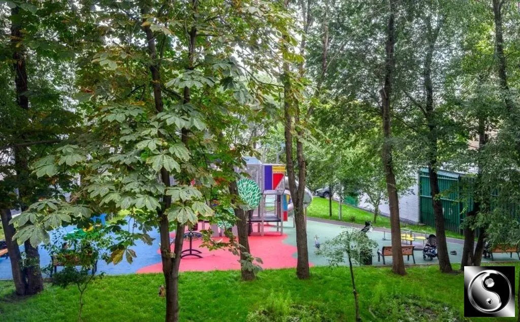 Сдам комнату 80.0/10.0м пер. 2-й Хвостов, 12, Москва, ЦАО, р-н ... - Фото 42