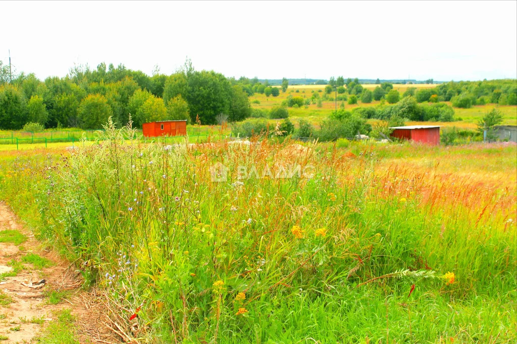 Суздальский район, село Павловское, земля на продажу - Фото 0
