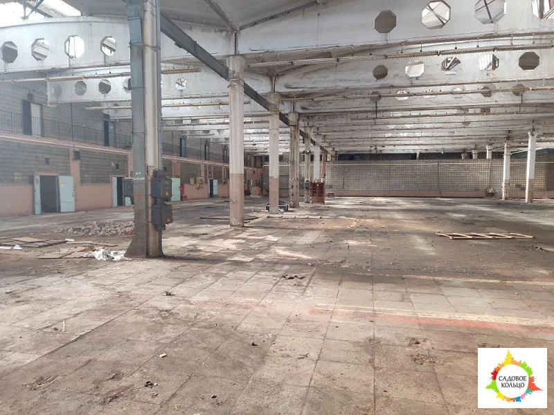 Предлагается в аренду холодное производственное помещение - Фото 1