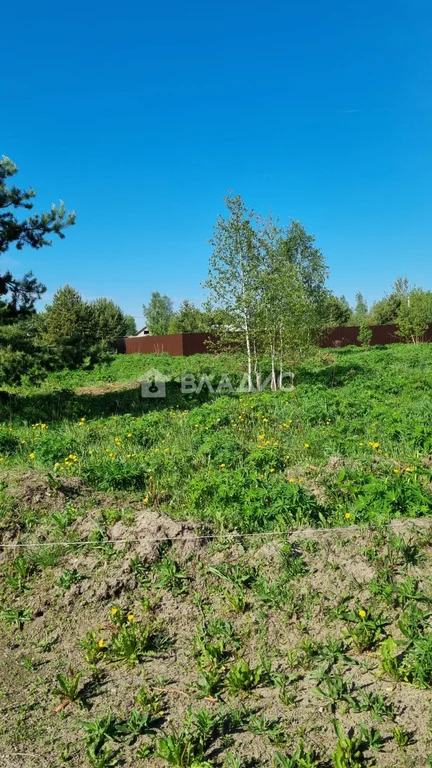 Раменский городской округ, коттеджный посёлок Дергаево-3, Северный ... - Фото 4