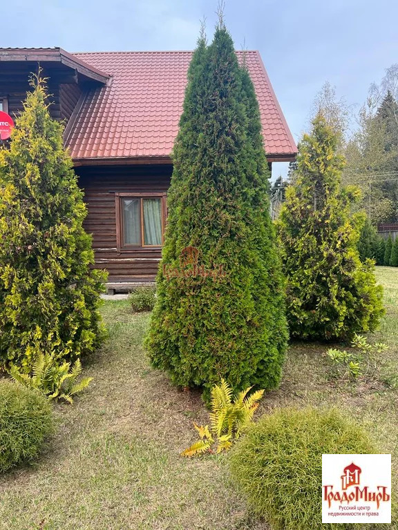 Аренда дома, Митрополье, Пушкинский район, ул. Лесная - Фото 18