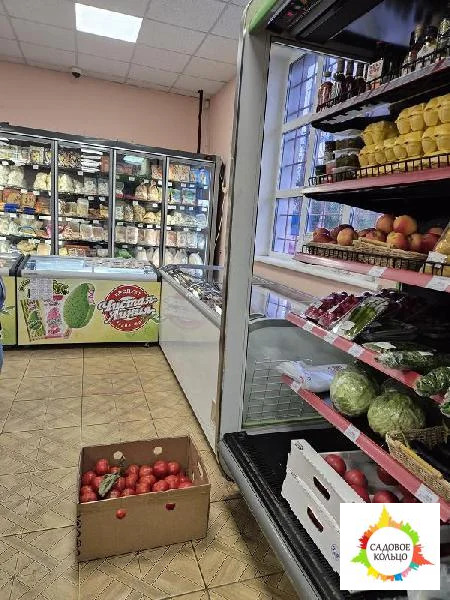 На Федеральной трассе Кашира-Чехов сдается отдельно-стоящее здание 165 - Фото 13