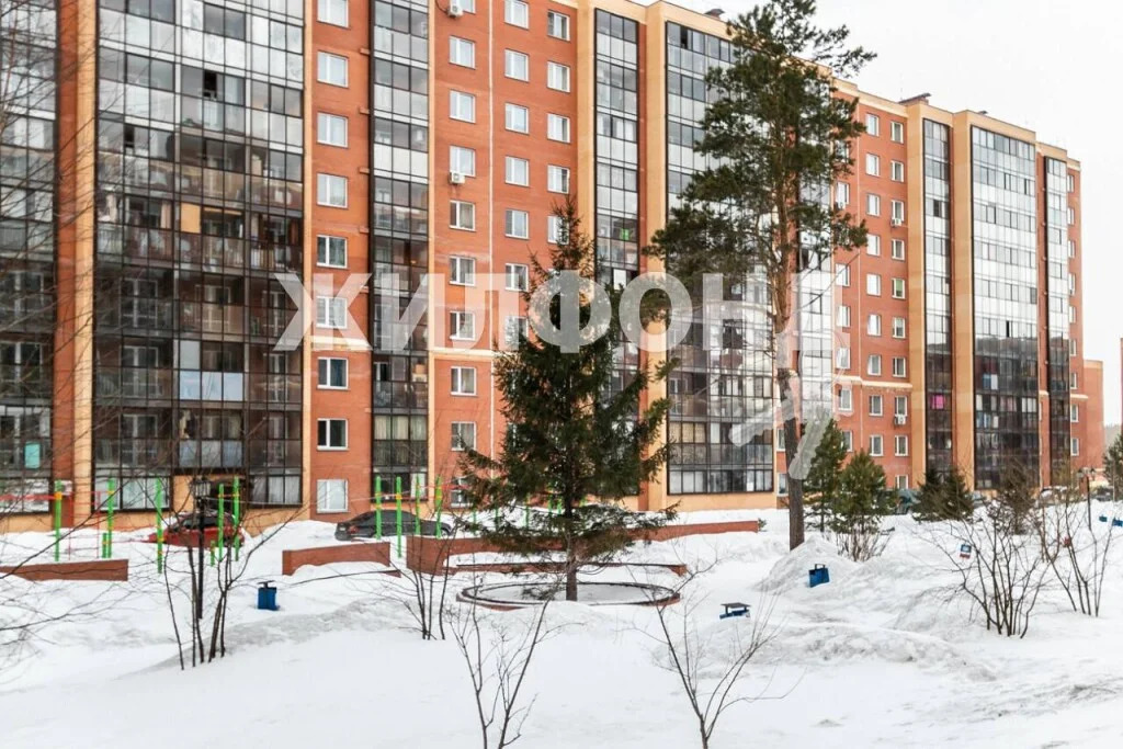 Продажа квартиры, Новосибирск, микрорайон Стрижи - Фото 21