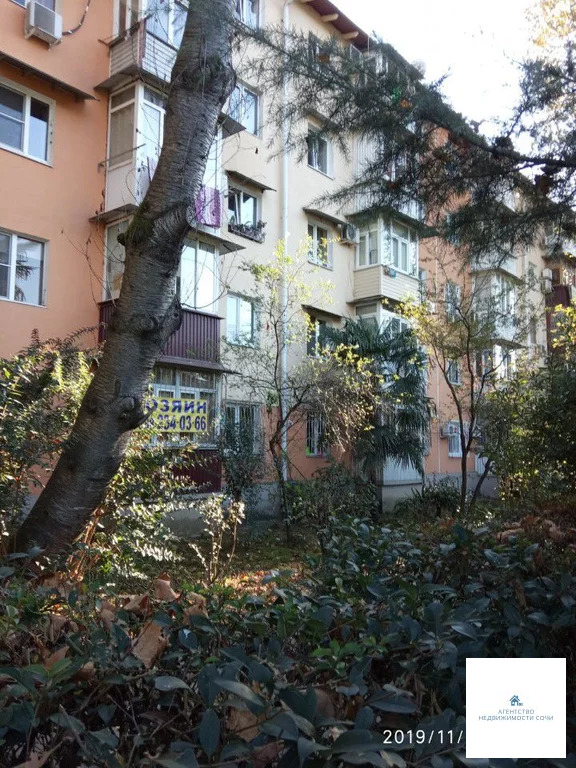 1-к квартира, 33 м, 1/5 эт. - Фото 3