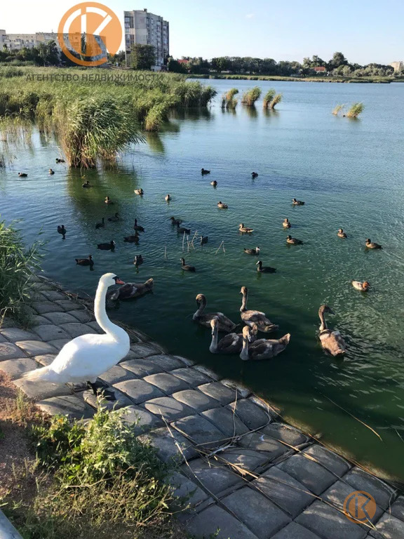 Продажа квартиры, Саки, ул. Ивановой - Фото 8