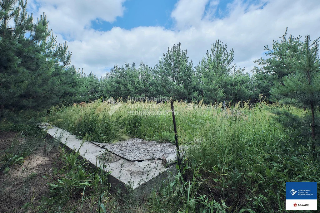 Продажа дома, Полково, Рязанский район, Весенняя улица - Фото 12