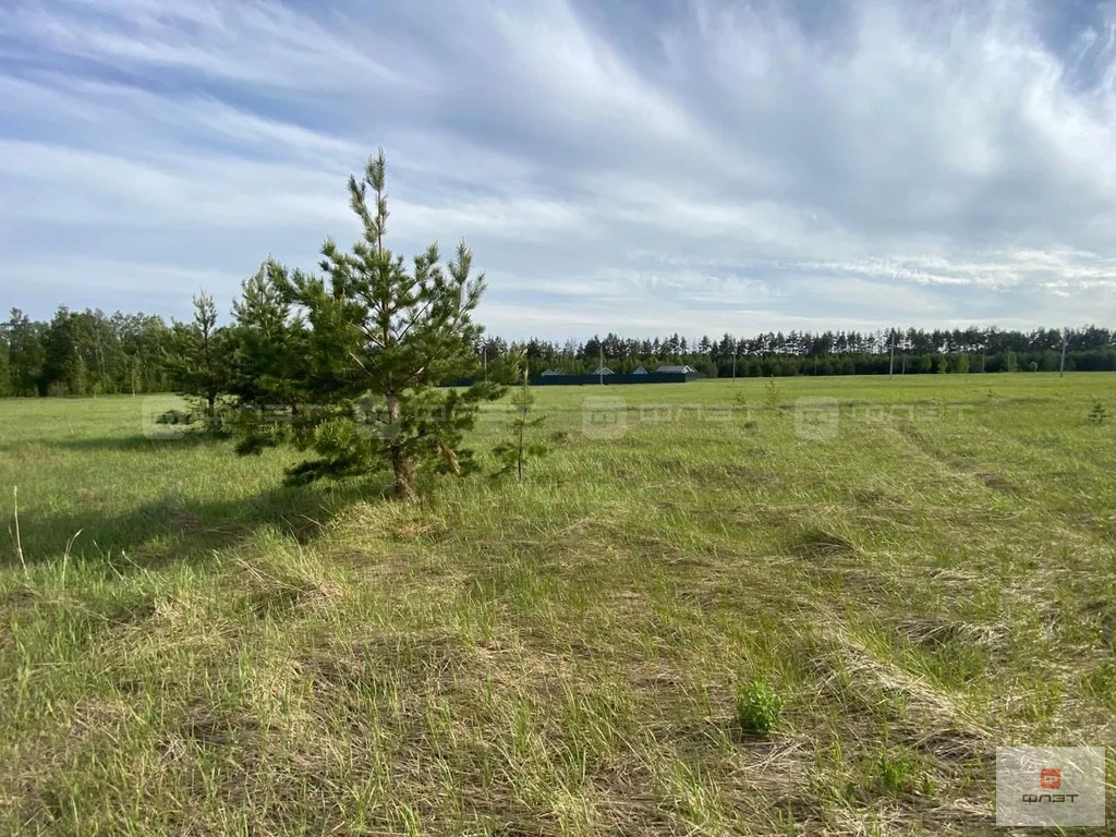 Продажа участка, Лабышка, Камско-Устьинский район, ул. Астрономическая - Фото 3