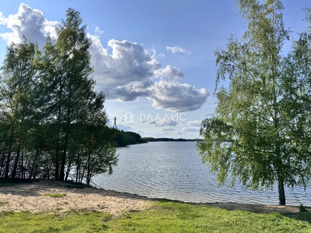 городской округ Мытищи, деревня Манюхино, Водоводная улица,  дом на ... - Фото 28