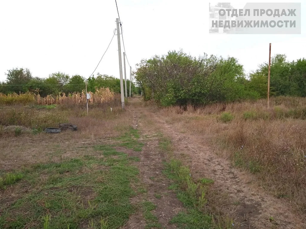 Дачный участок - Фото 5