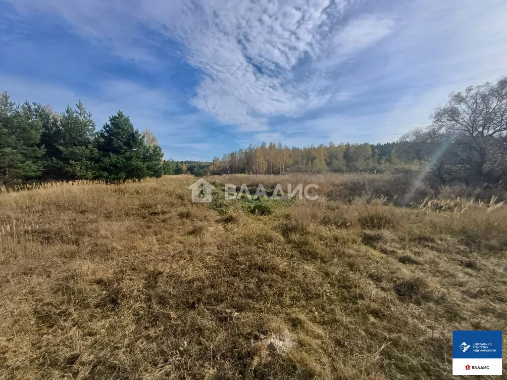 Продажа участка, Фролово, Клепиковский район - Фото 0