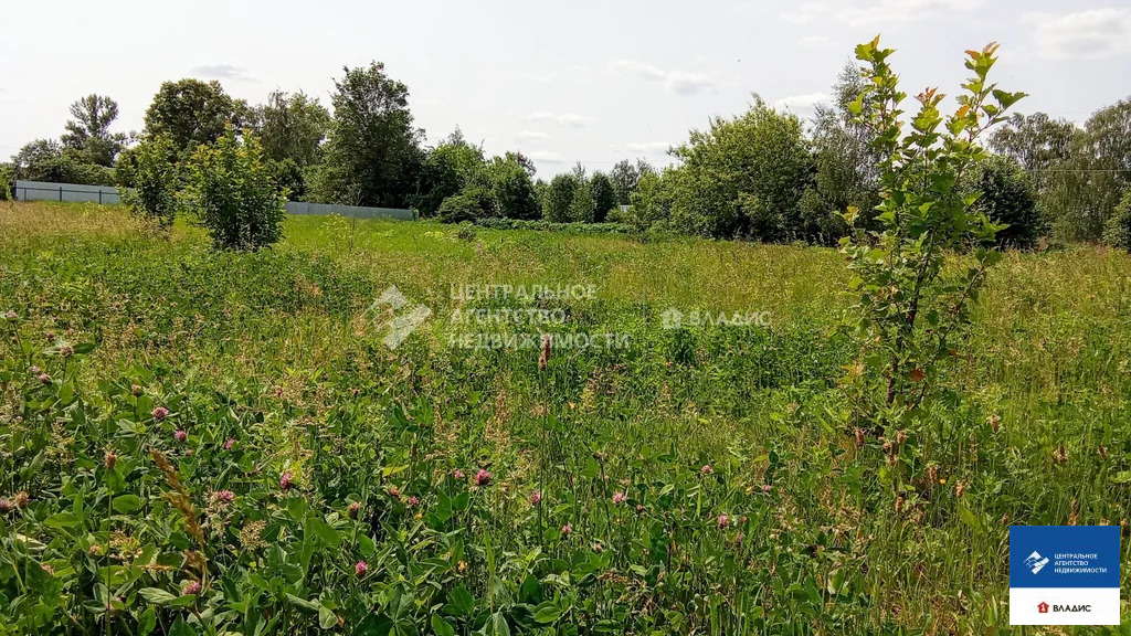Продажа участка, Тюшево, Рязанский район, Гвардейская улица - Фото 5