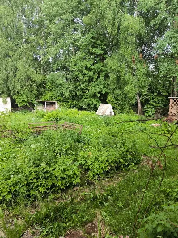 Дача в тихом уютном СНТ - Фото 8