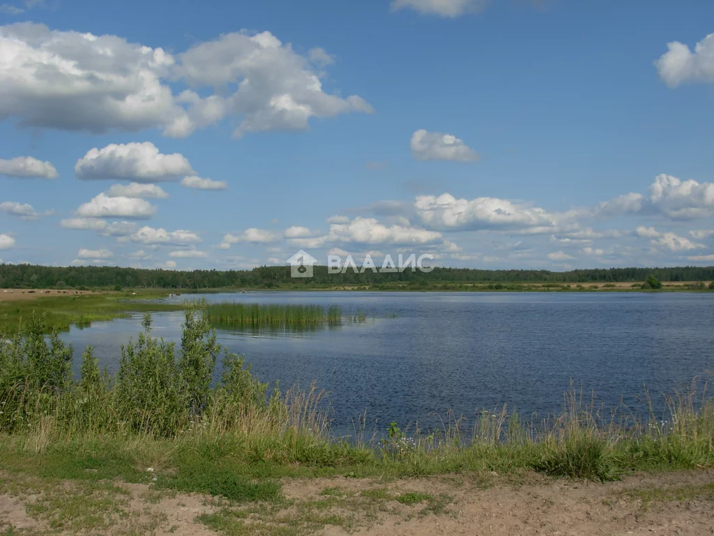 Судогодский район, деревня Станки,  земля на продажу - Фото 6