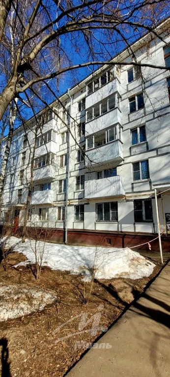 Продажа квартиры, Андреевка, Солнечногорский район, 4 - Фото 15