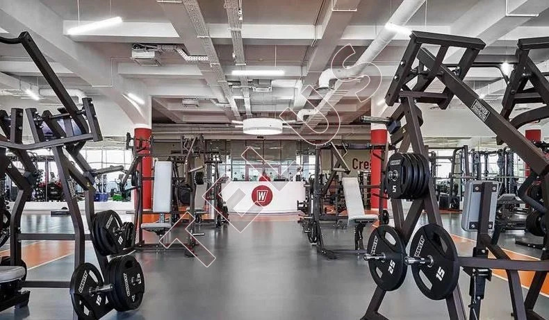 МЦД-1 Сколково, ул. Зворыкина, 13400 м2 , Фитнес-центр (ном. объекта: ... - Фото 15