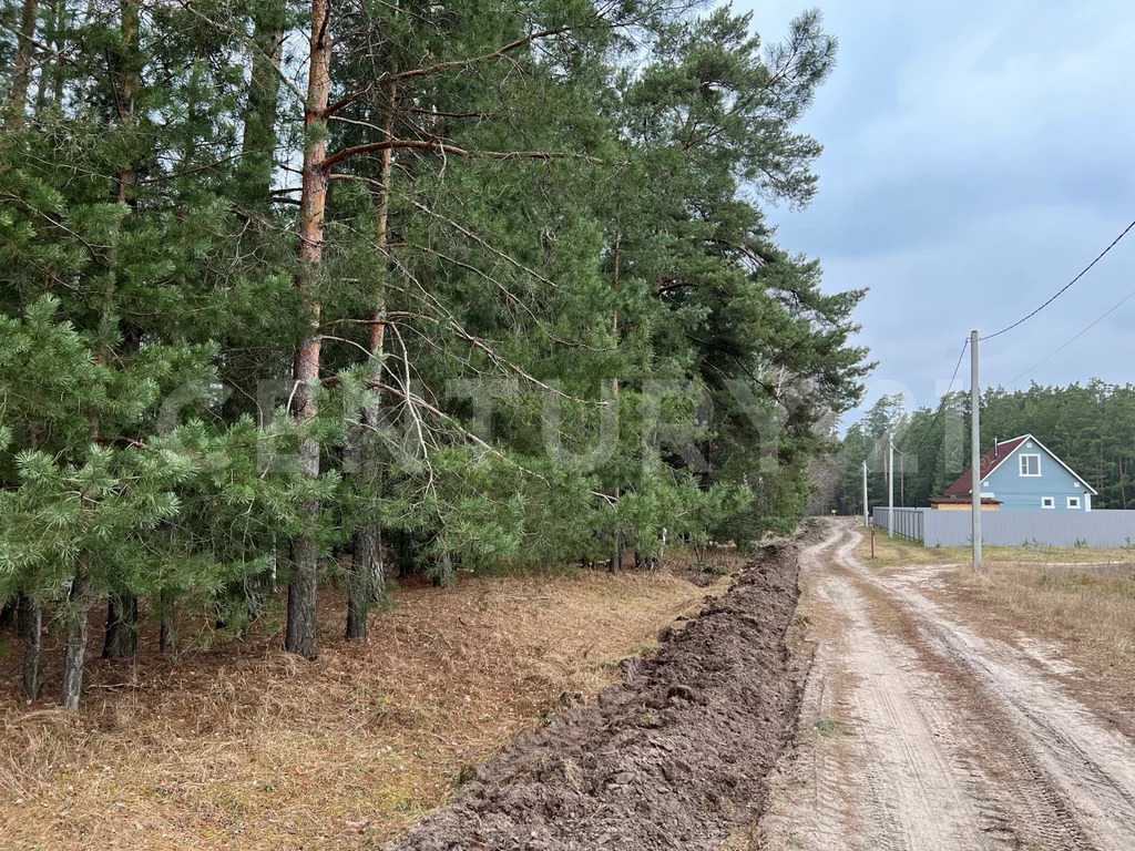 Продажа участка, Кореневщино, Добровский район, Набережная ул. - Фото 4