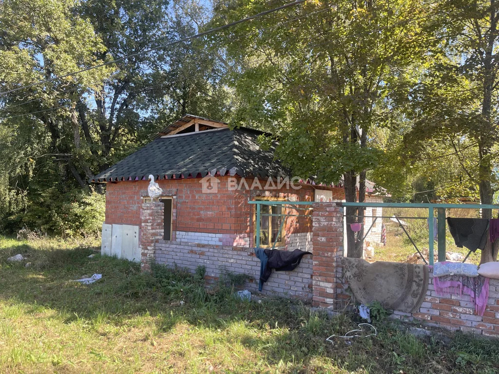 Собинский муниципальный округ, деревня Рыжково, Центральная улица,  ... - Фото 1