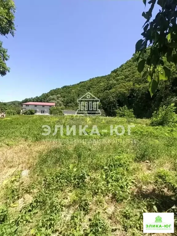 Продажа участка, Пляхо, Туапсинский район, Курортная ул. - Фото 2