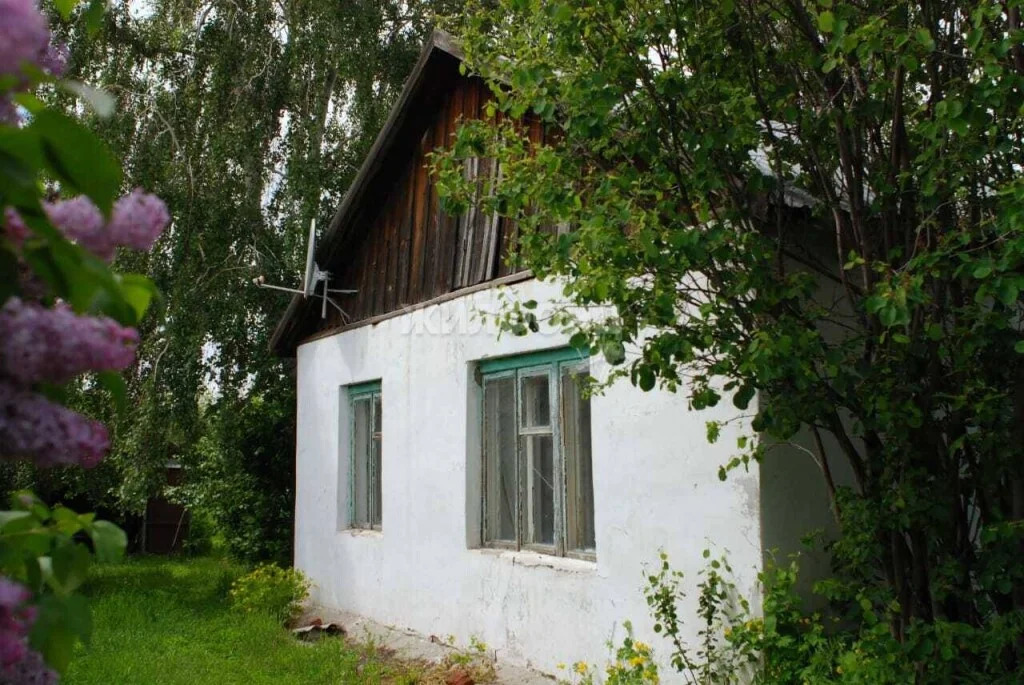 Продажа квартиры, Береговое, Новосибирский район, Школьный пер. - Фото 10