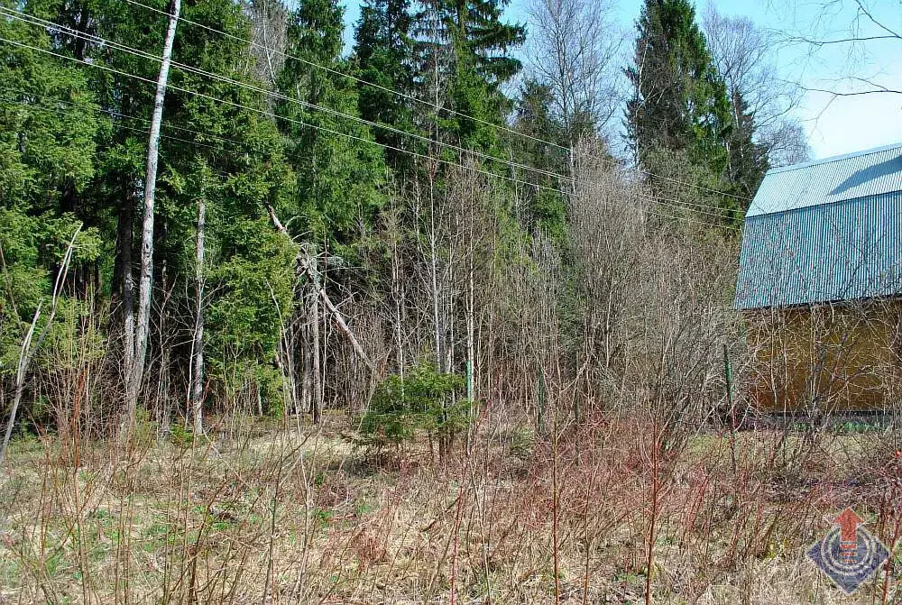 Участок у леса в СНТ Движенец, д. Савеловка, Наро-Фоминский район - Фото 4