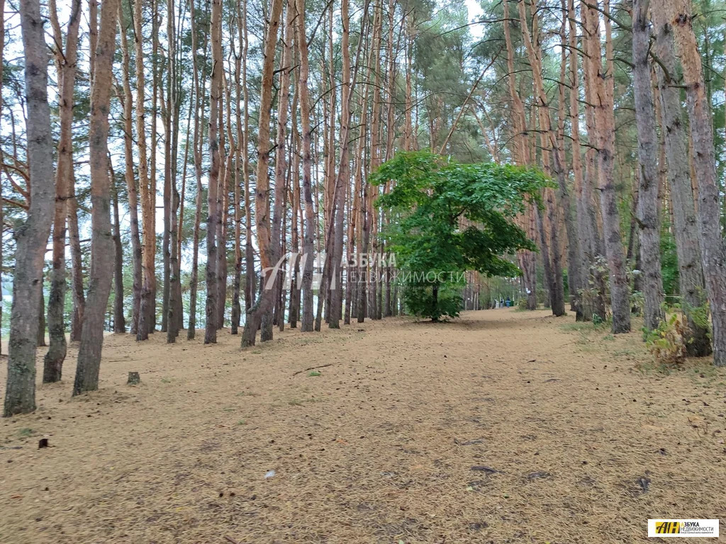 Продажа участка, Горетово, Можайский район, Бестужевская улица - Фото 22