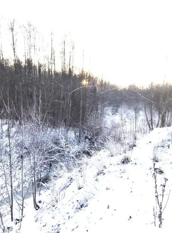 Участки ИЖС на Рублевке в тихом месте, рядом речка и лесной массив - Фото 8