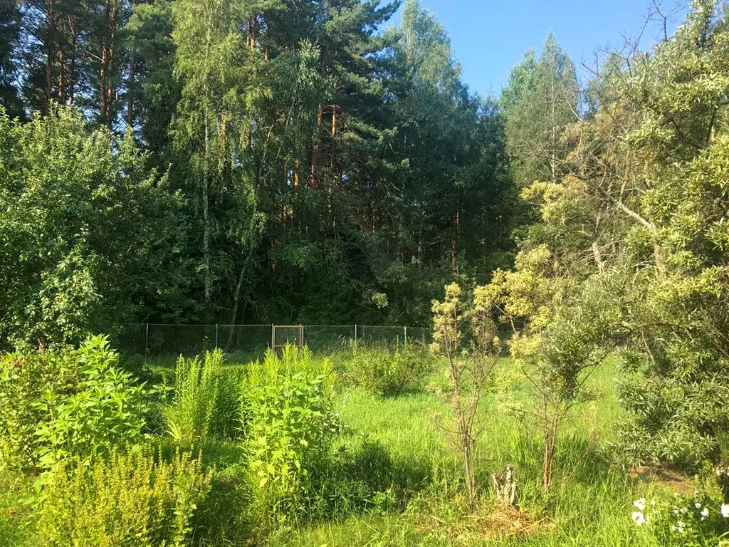 Купить дом в окружении леса можно уже сейчас! - Фото 1