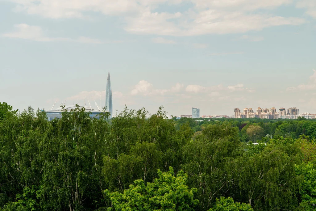 Продажа квартиры, м. Спортивная, Петровский пр-кт. - Фото 0