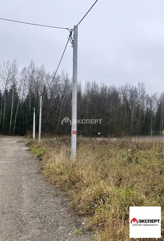 Земельный участок, мкр. Трубицыно - Фото 1