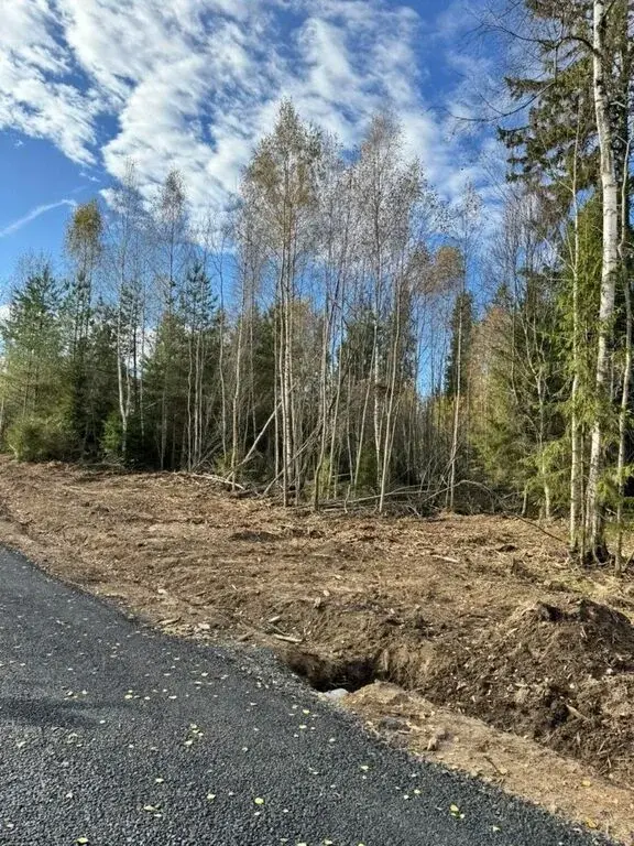 Лесные участки в Истринском районе! - Фото 11