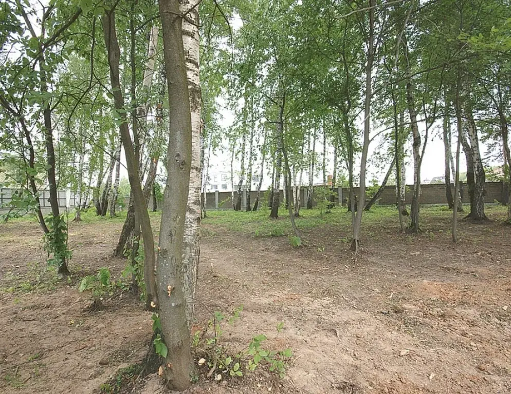 Лесной участок ИЖС в поселке на Новорижском ш. 9 км от МКАД - Фото 6