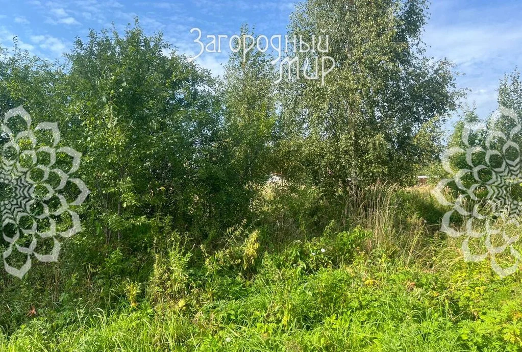 Продам участок, Рогачевское шоссе, 70 км от МКАД - Фото 3