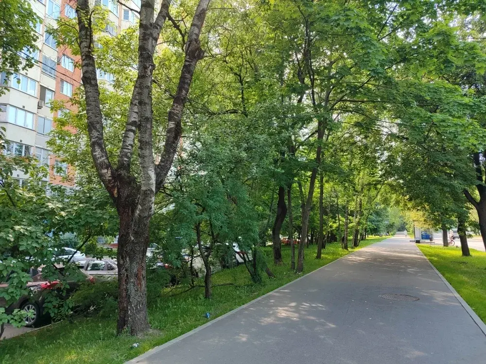 Продается большая 3-х ком. квартира в Москве Студенный пр. - Фото 22