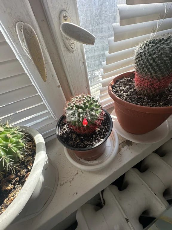 Продажа квартиры, Балашиха, Балашиха г. о., ул. Калинина - Фото 12