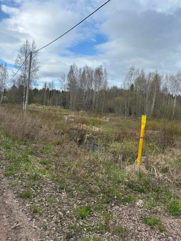 Продажа участка, Выборг, Выборгский район - Фото 13