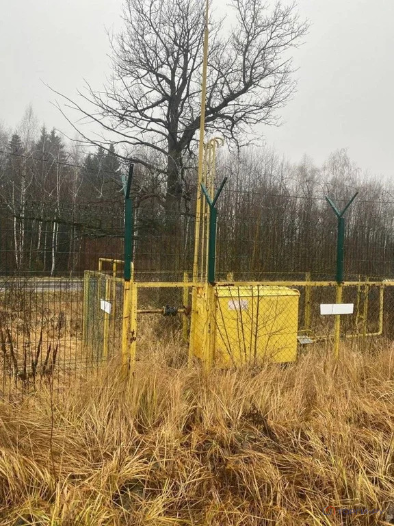 Продажа ПСН, Маклино, Малоярославецкий район, ул. Центральная - Фото 2