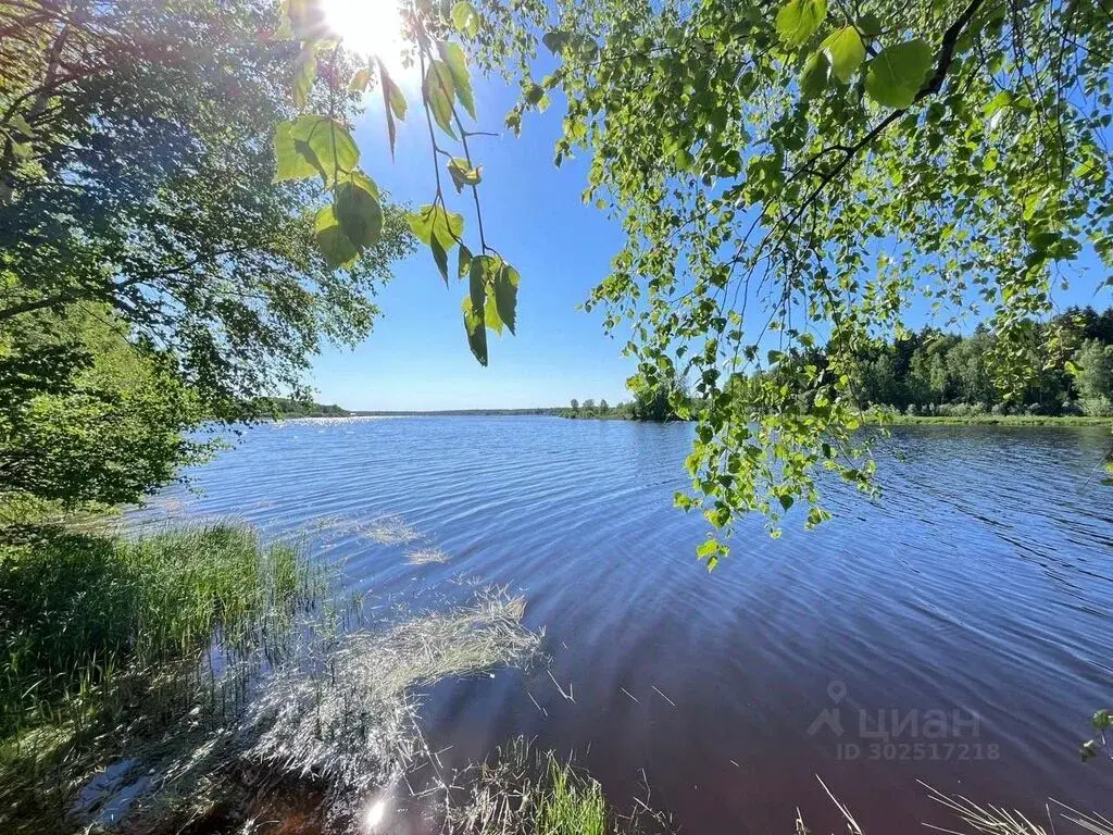 Продаю участок 7.3 сот. Московская область, Можайский городской округ, - Фото 4