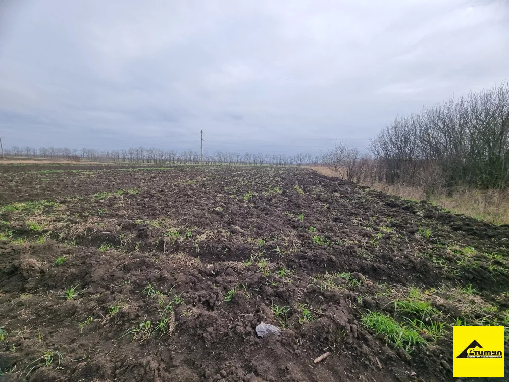 Продажа участка, Воронцовка, Ейский район - Фото 1