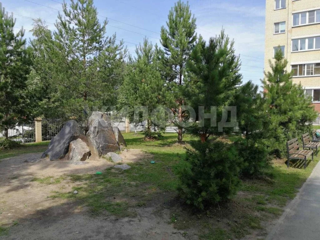 Продажа квартиры, Новосибирск, ул. Выборная - Фото 35