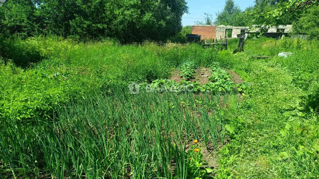 Юрьев-Польский район, село Чеково, 1-я улица,  земля на продажу - Фото 8