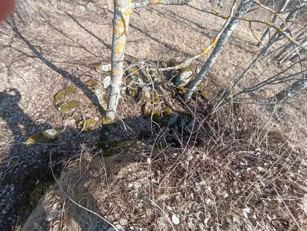 Участок в 100 м от озера Губановское - Фото 8