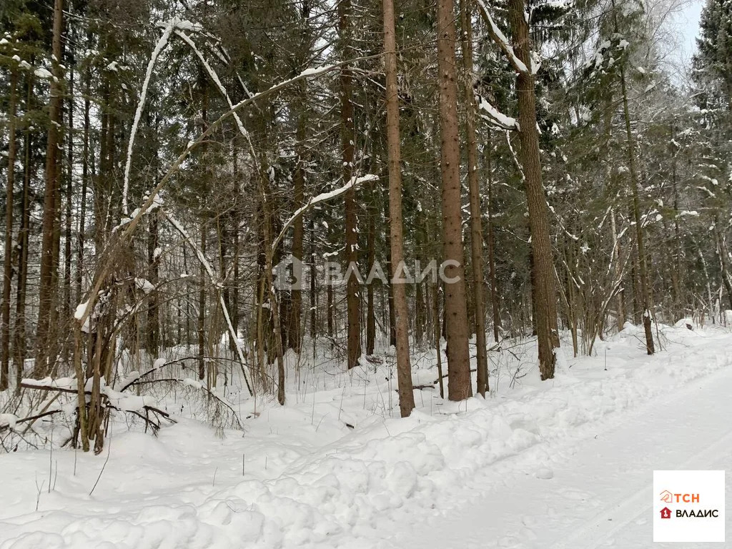 Продажа участка, Сазонки, Дмитровский район - Фото 2