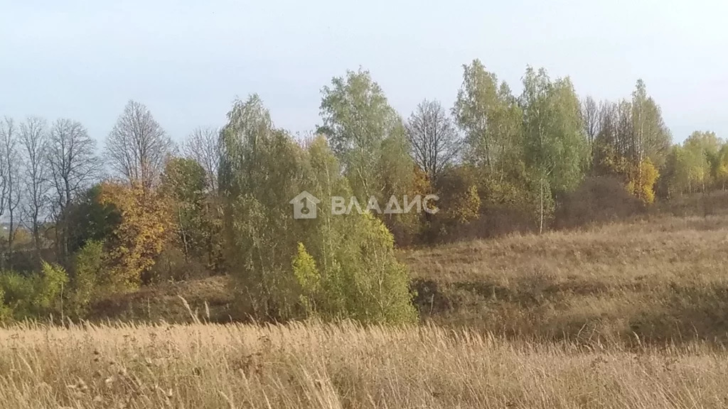 Ясногорский район, деревня Котенево, земля на продажу - Фото 1