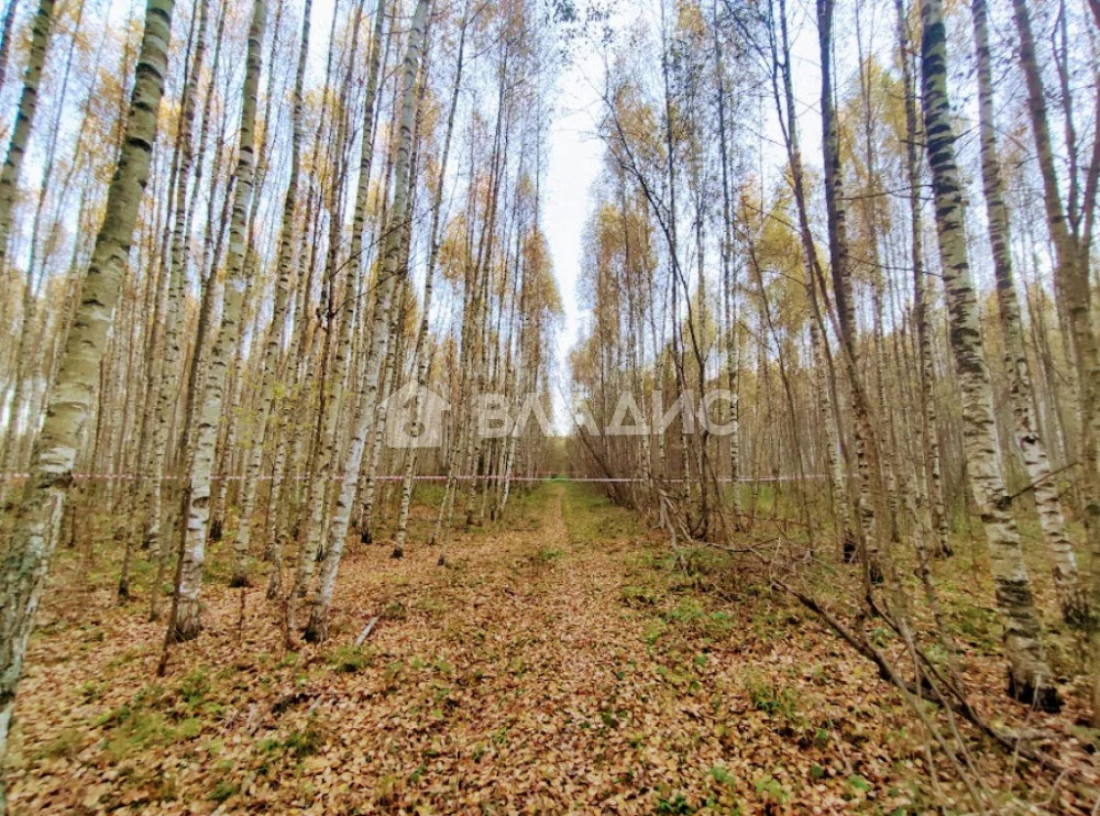 городской округ Владимир, Владимир,  земля на продажу - Фото 3