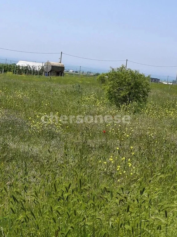 Продажа участка, Береговое, улица Новосёловская - Фото 1