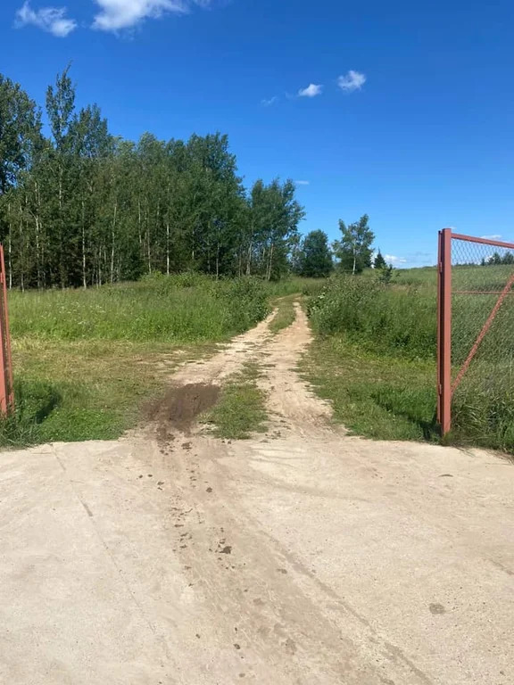 Продажа участка, Очево, Дмитровский район - Фото 11