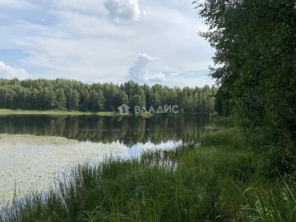 Собинский район, село Березники, Солнечная улица,  дом на продажу - Фото 19