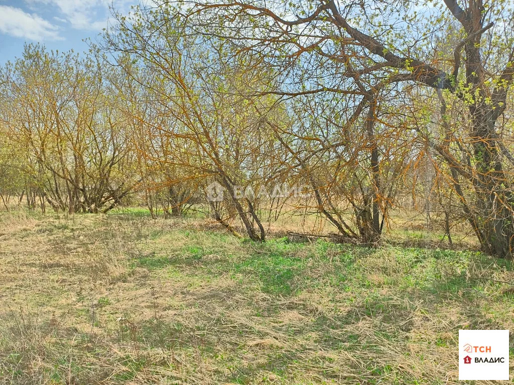 Продажа участка, Ногинск, Богородский г. о., ул. Богородская - Фото 5