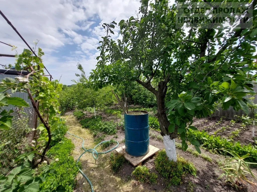 Дом на центральной улице - Фото 19