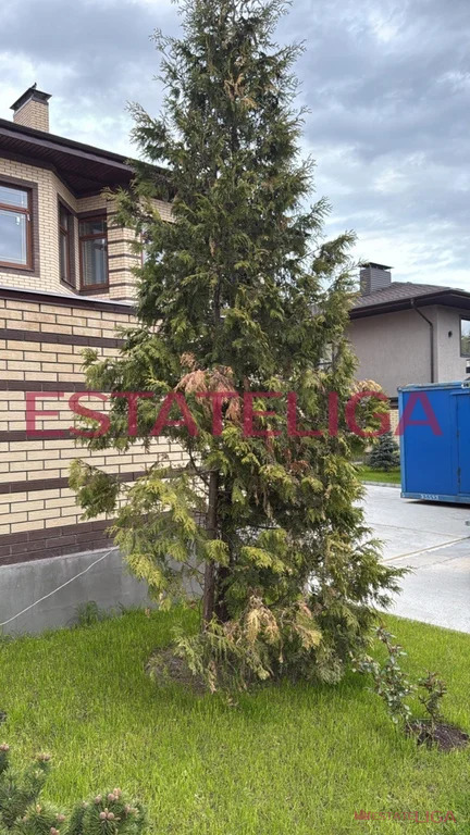 Продажа дома, Фоминское, Первомайское с. п., ул. Московская - Фото 13